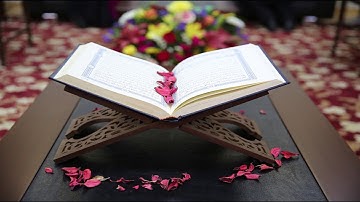 قال سنشد عضدك باخيك ونجعل اليكما سلطانا فلا يصلون اليكما بأياتنا أنتما ومن تبعكما سوره القصص إيه 35