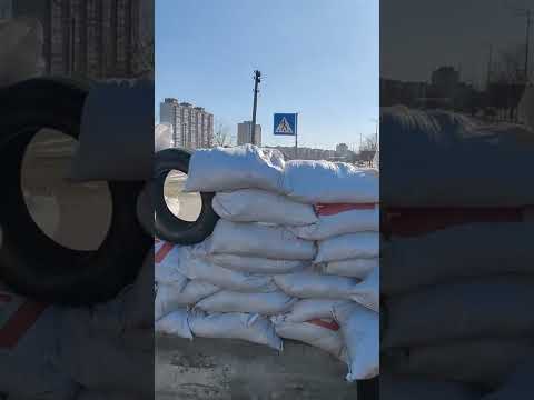 10 марта 2022