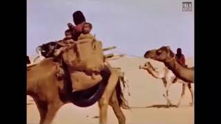 حياة البدو الرحل في الجزيرة العربية في القرن ال20