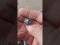 class ring beach metal detecting