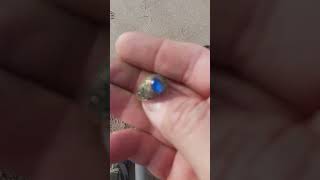 class ring beach metal detecting