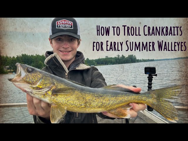 How to Troll Crankbaits for Early Summer Walleyes 