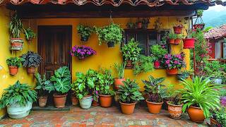 Blooming Wonders Transform Your Front Yard with Exotic Rare Flowers  🌸✨