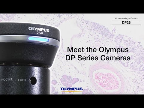 Meet the Olympus DP Series Cameras