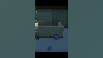 What 1500 Hours Of Planet Zoo looks Like | #shorts |