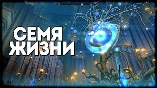 Skyrim ТАМ ГДЕ ДРАКОНЫ ОБРОНИЛИ СЕМЯ ПЕРВОЦВЕТКА