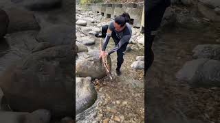 Moray El Fish Amazing Big awesome fishing amazingfishinglife