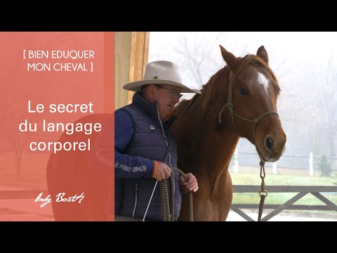 [EDUCATION] Le secret du langage corporel