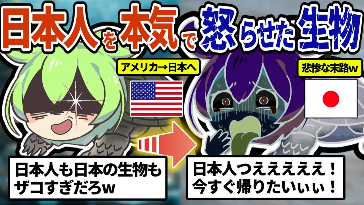 日本で無双していた外来種！日本人の驚きの方法で絶命する結果にw