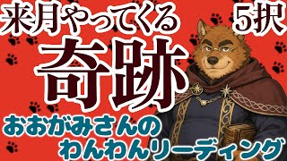 🐶ここから動き出す幸せの輝き!来月やってくる「奇跡」!おみくじっぽい「5択」リーディング🐶わんこたちに聞く🐶おおがみさんのわんわんリーディング【タロット・オラクルカードリーディング】🐶