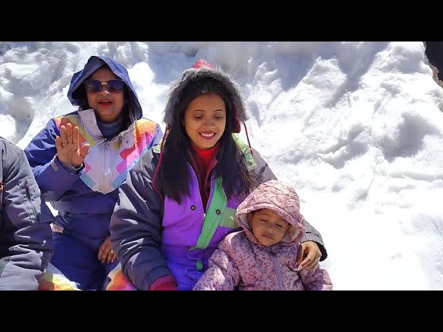 Guests Enjoy Snow at Koksar ❄️ | Rohtang Pass Tour | Freelance Travels #Koksar #SnowFun