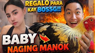 Regalo para kay bossg!! baby naging manok 😂❤️ #mengbossg 