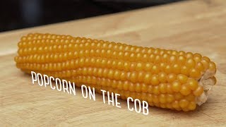 Popcorn on the Cob