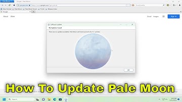 How To Update Pale Moon Browser [Guide]