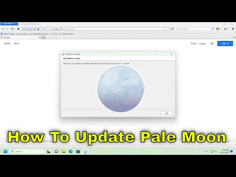 How To Update Pale Moon Browser [Guide]
