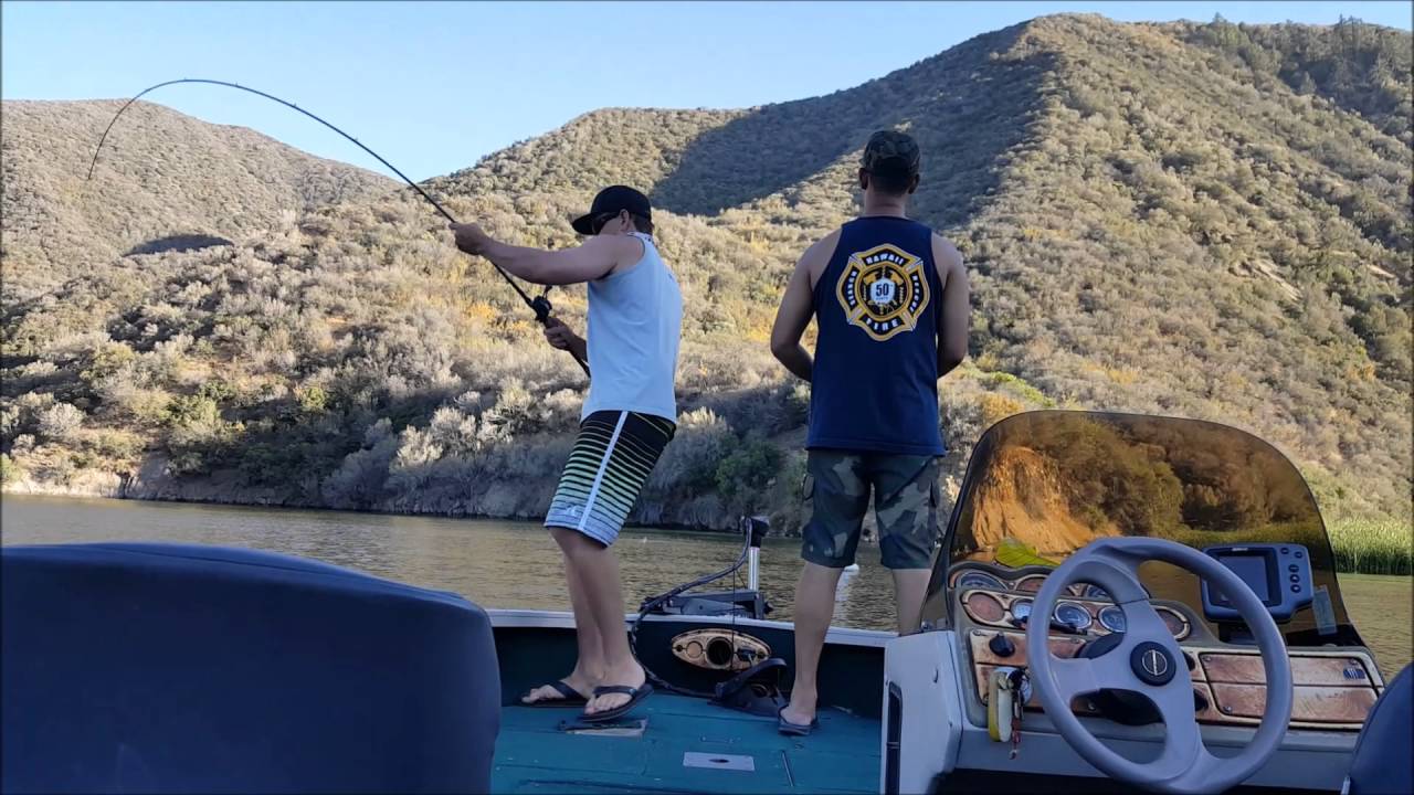 Striper Boils at Lake Pyramid YouTube