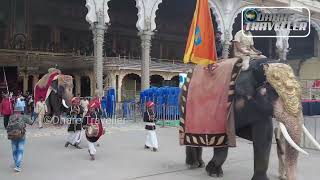 Pattada Anne Onte Hasu And Yetu Royal Elephants Cows Bull And Camels Of Mysuru Royal Family