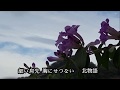 北物語 ♫オリジナル歌手:加門亮 ♪カバ-アメキリ歌詞付き