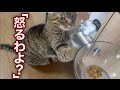 てんちゃんが表情を曇らせたある一言とは・・・?