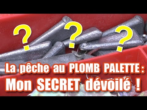 La pêche au PLOMB PALETTE :  Mon SECRET dévoilé ! ( perche sandre, brochet)