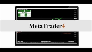 MT4 Data Feed At Low Price
