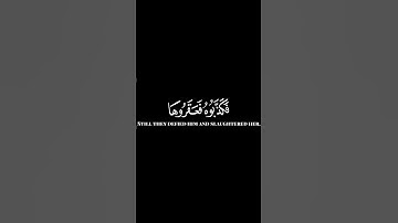 كرومات ايات قرانية شاشة سوداء || سورة الشمس للقارئ #إسلام_صبحي #سورة_الشمس #سبحان_الله_وبحمده