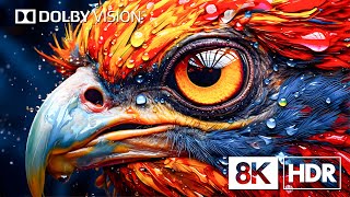 Dolby Vision™: Unique Birds Collection By 8K HDR