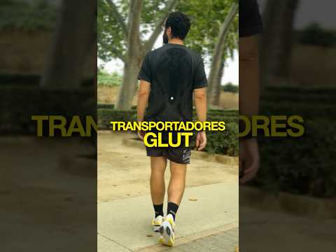 🐵🍌Geles, carbohidratos y transportadores GLUT