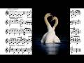 'La dance des petites cygnes'' 'Dance of the little swans'  à la guitare
