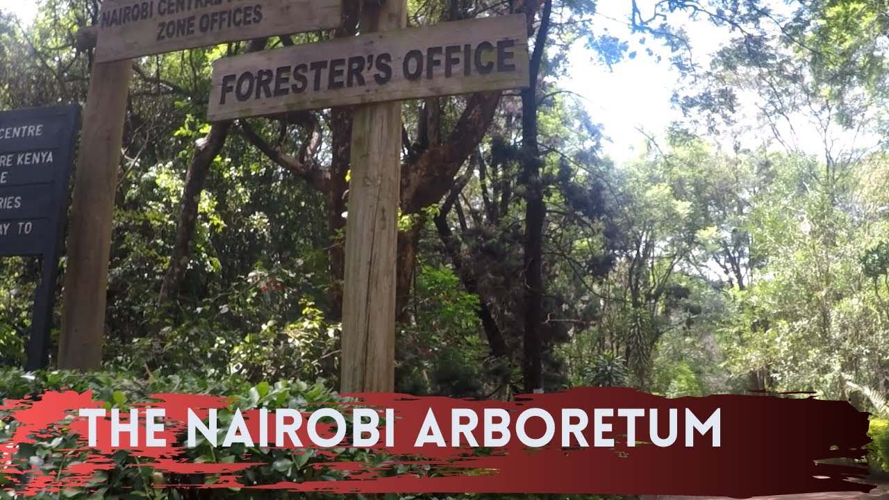 The Nairobi Arboretum - An oasis close to the heart of the Nairobi city