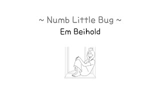 Numb Little Bug - Em Beihold - English Lyrics