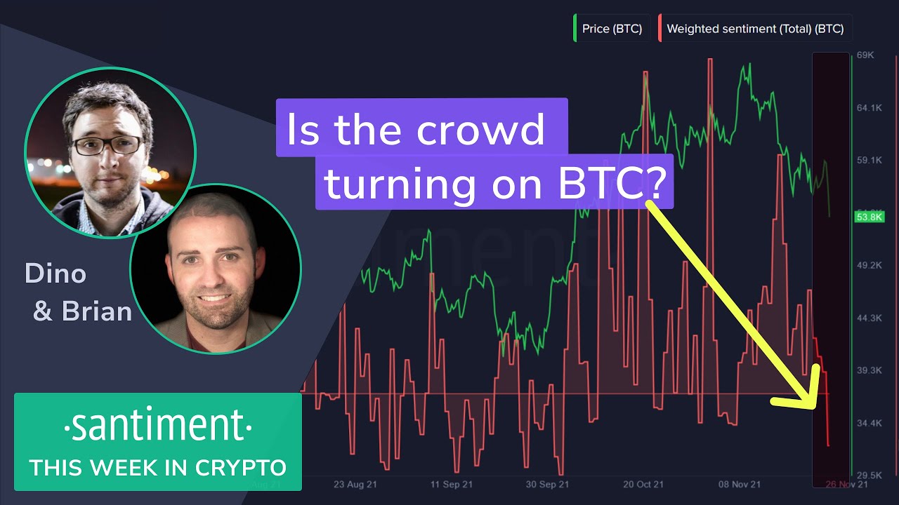 What's the retail sentiment on BTC after the dip? (This Week in Crypto ...