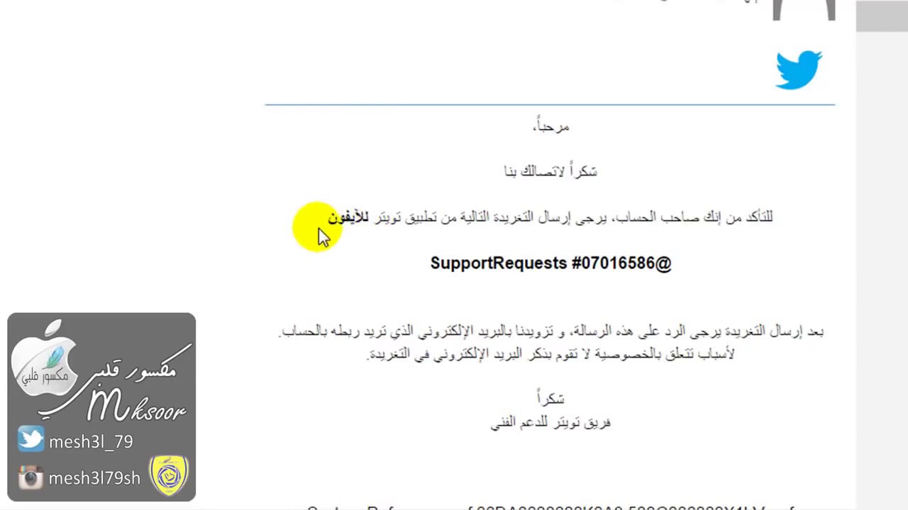 Restore a Twitter account if you forgot your password and email