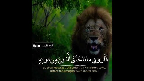هذا خلق الله / تلاوة مريحة 😊🎧 سورة لقمان القارئ | الشيخ ياسر الدوسري #quran #قرآن