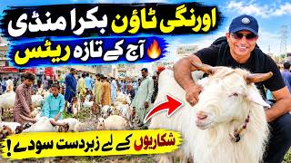 Orangi Town Bakra Mandi 2026 Latest Rates Update 25 October 2026 😱 | Karachi Sunday Bakra Mandi 🐐