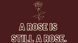 A Rose is Still a Rose