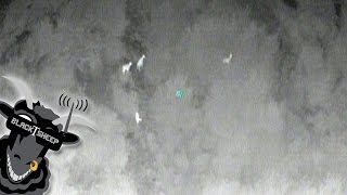 TBS Discovery PRO - Thermal Search & Rescue setup