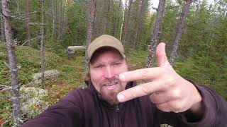 Ympäristöllinen Kestävyys, Maahanmuutto Hyvin Valikoivaksi Ja Kokonaisuuksien Hahmotus Helpoksi