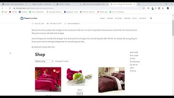 Do Not Edit Functions.php - WordPress theme Customization