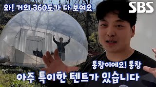 ‘버블 텐트’ 캠핑장 달인이 소개하는 독특한 캠핑장