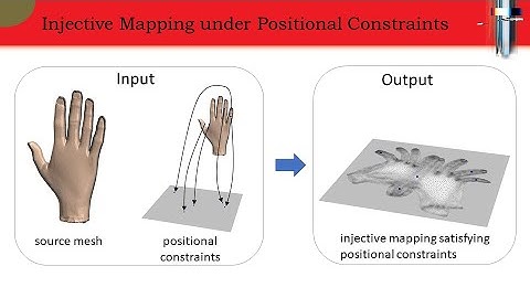 Optimizing Global Injectivity for Constrained Parameterization (SIGGRAPH Asia 2021 Presentation)
