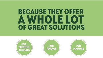 CERTILLUS Targeted Microbial Solutions-Dairy