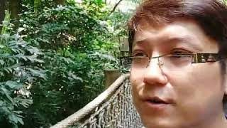 Download Lagu Sungei Buloh is more than I expected! MP3