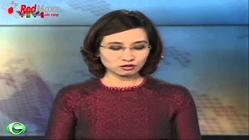 Diệt chuột - Cty Redmaxx