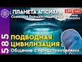 #585 Ченнелинг (прямой эфир) с подводной цивилизацией. Планета Апсихра, созвездие Большой Медведицы