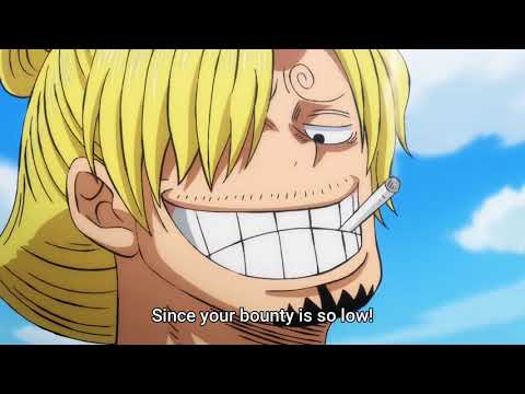 Why Is Zoro S Bounty So Low