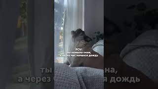 Как помыть окна без разводов? Ответ: используйте правильное средство для мытья!