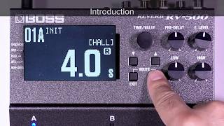 Roland - RTV Tips for RV-500