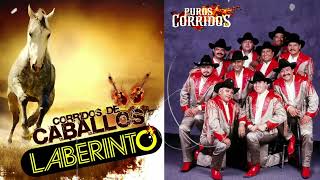 Los mejores corridos de caballos de Laberinto - Grupo Laberinto Mix Corridos Pesados 2023