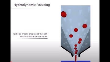 Fluorescence Activated Cell Sorting (FACS) - Methods Presentation